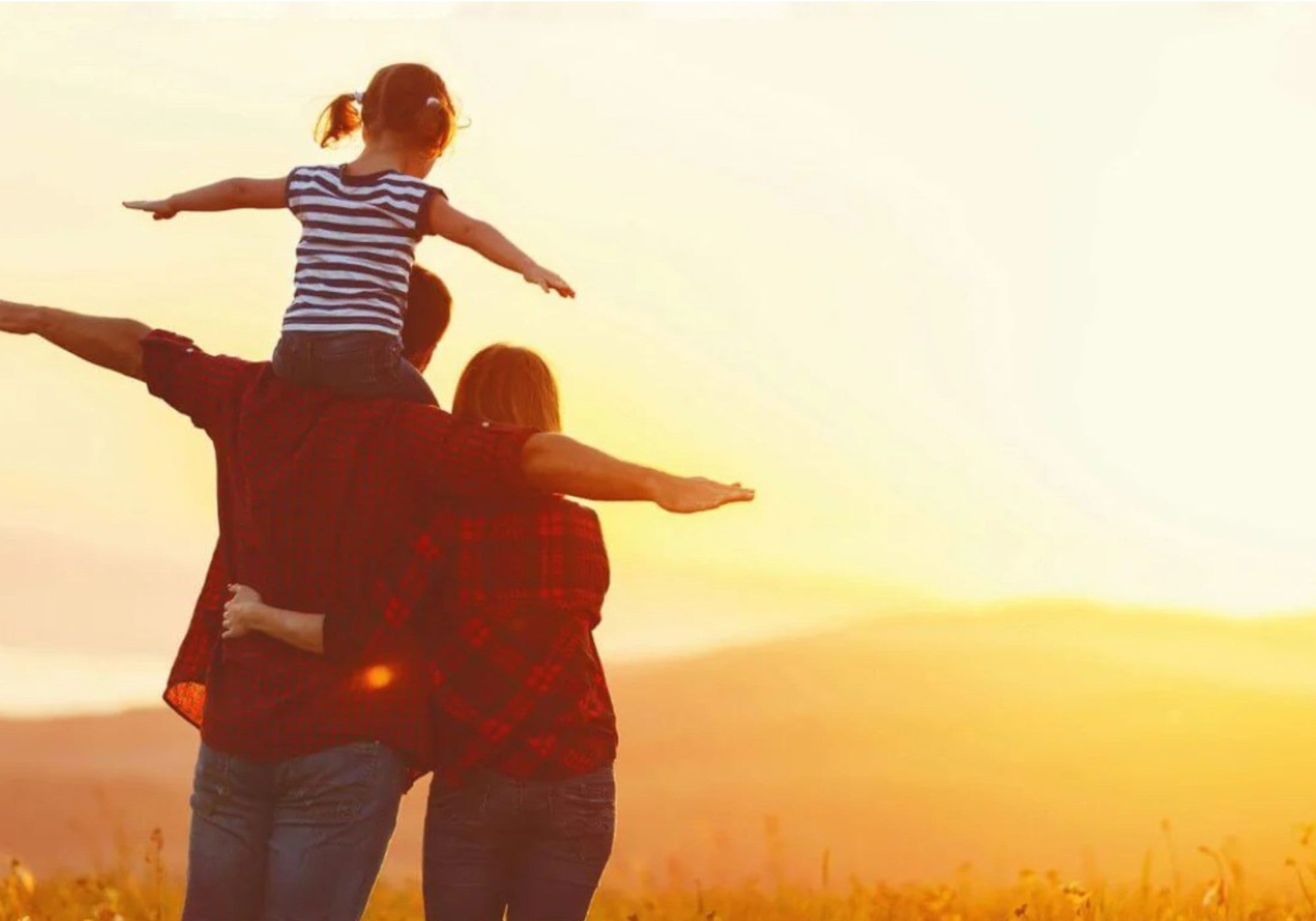 The LyfeFocus Holistic Approach